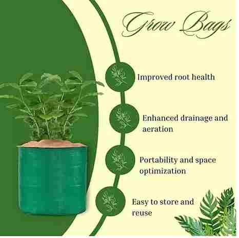 Organic Vegetable Seeds Mix (500+Seeds With Grow Bag🪴)