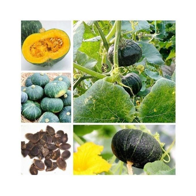 Organic Green Pumpkin seeds