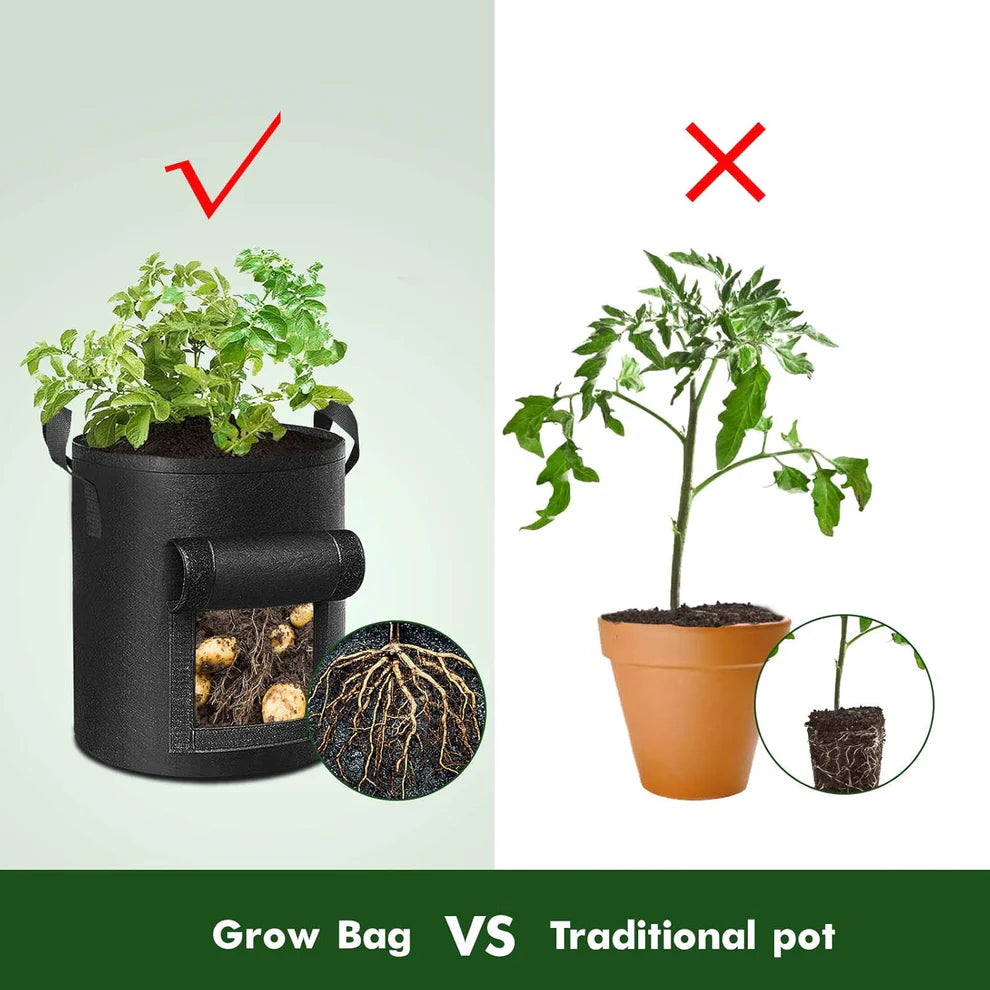 Planting Grow Bags