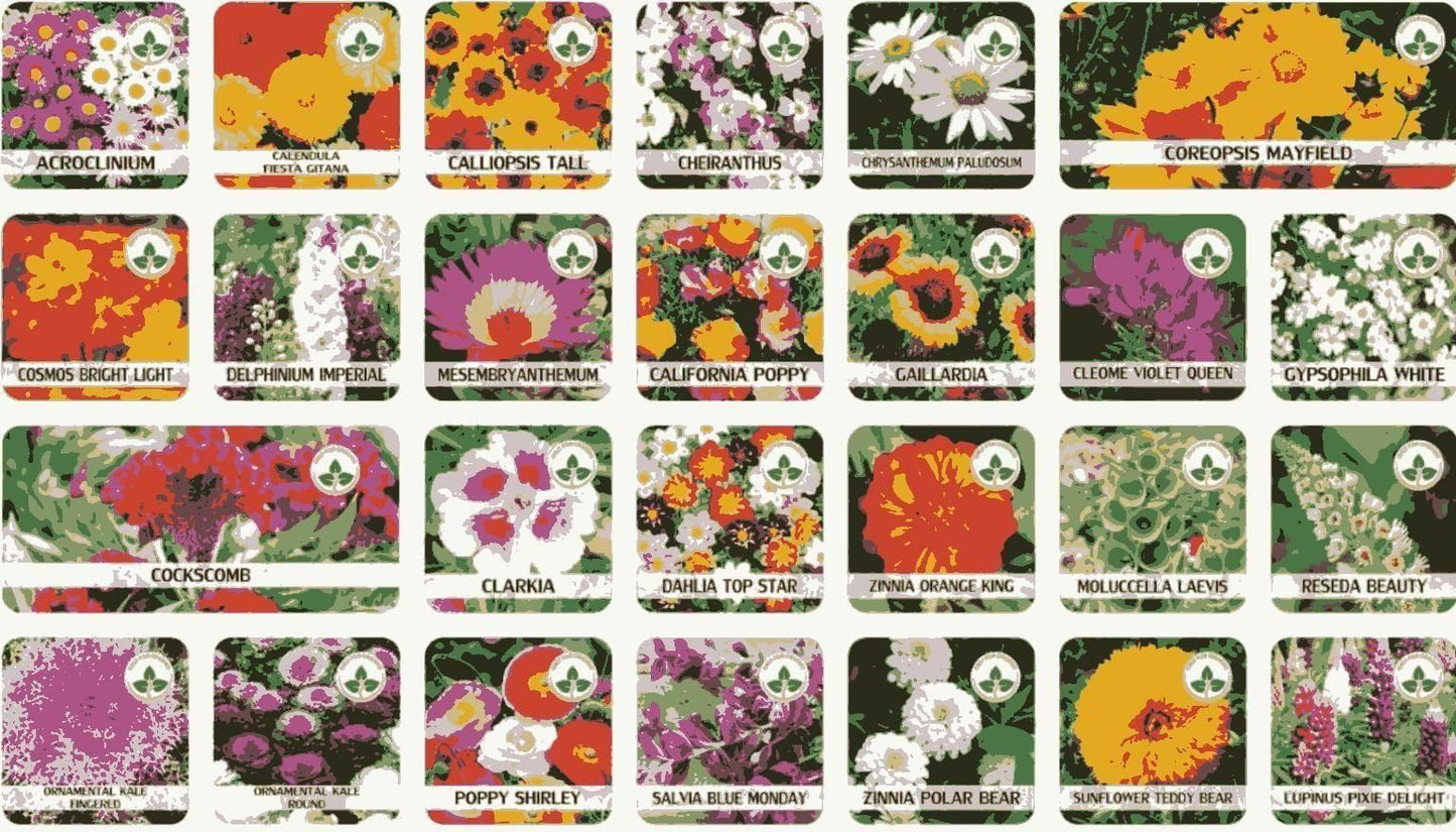 Italian Premium Flower Seeds + FREE Plant Growth Supplement