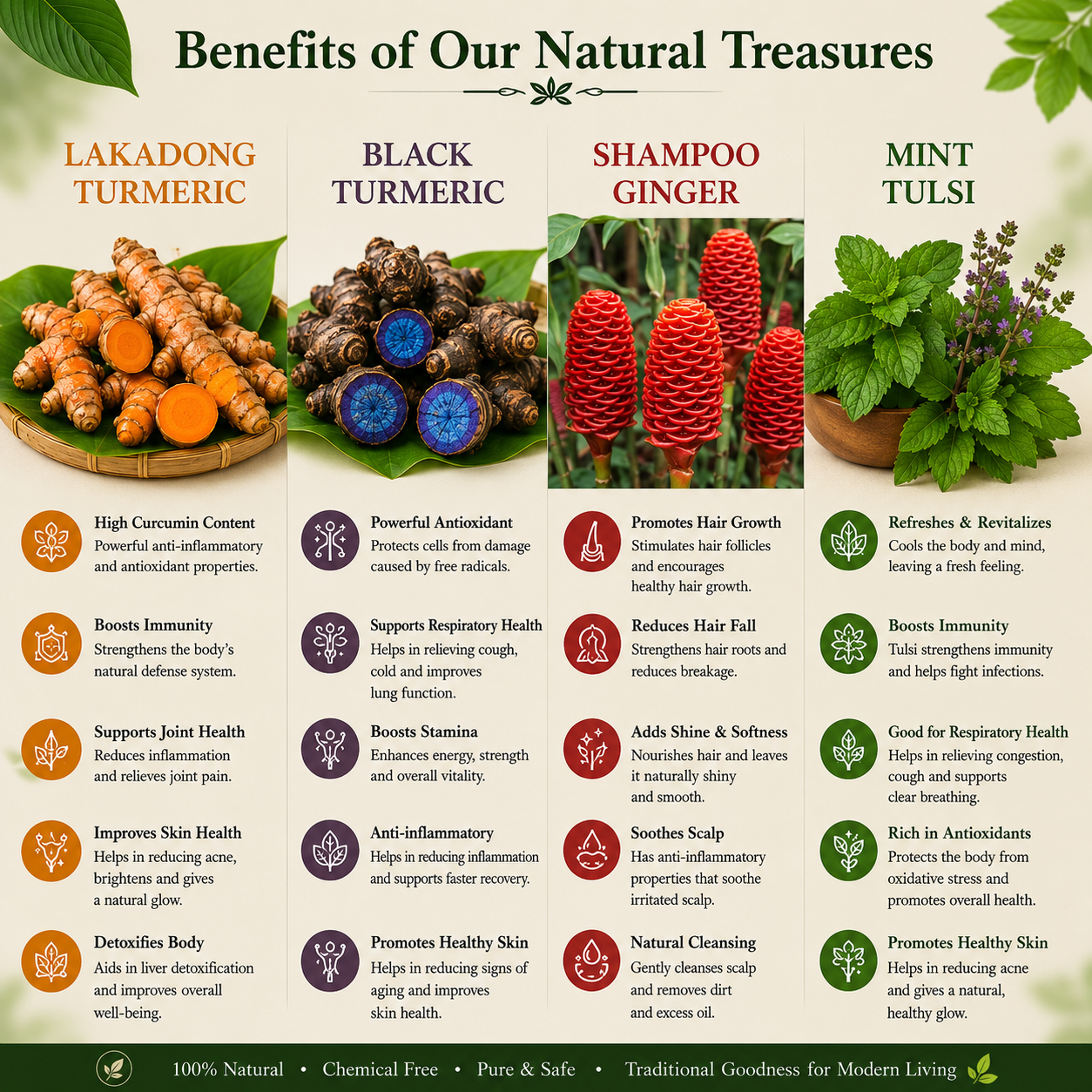 Ayurvedic Wellness Plant Combo