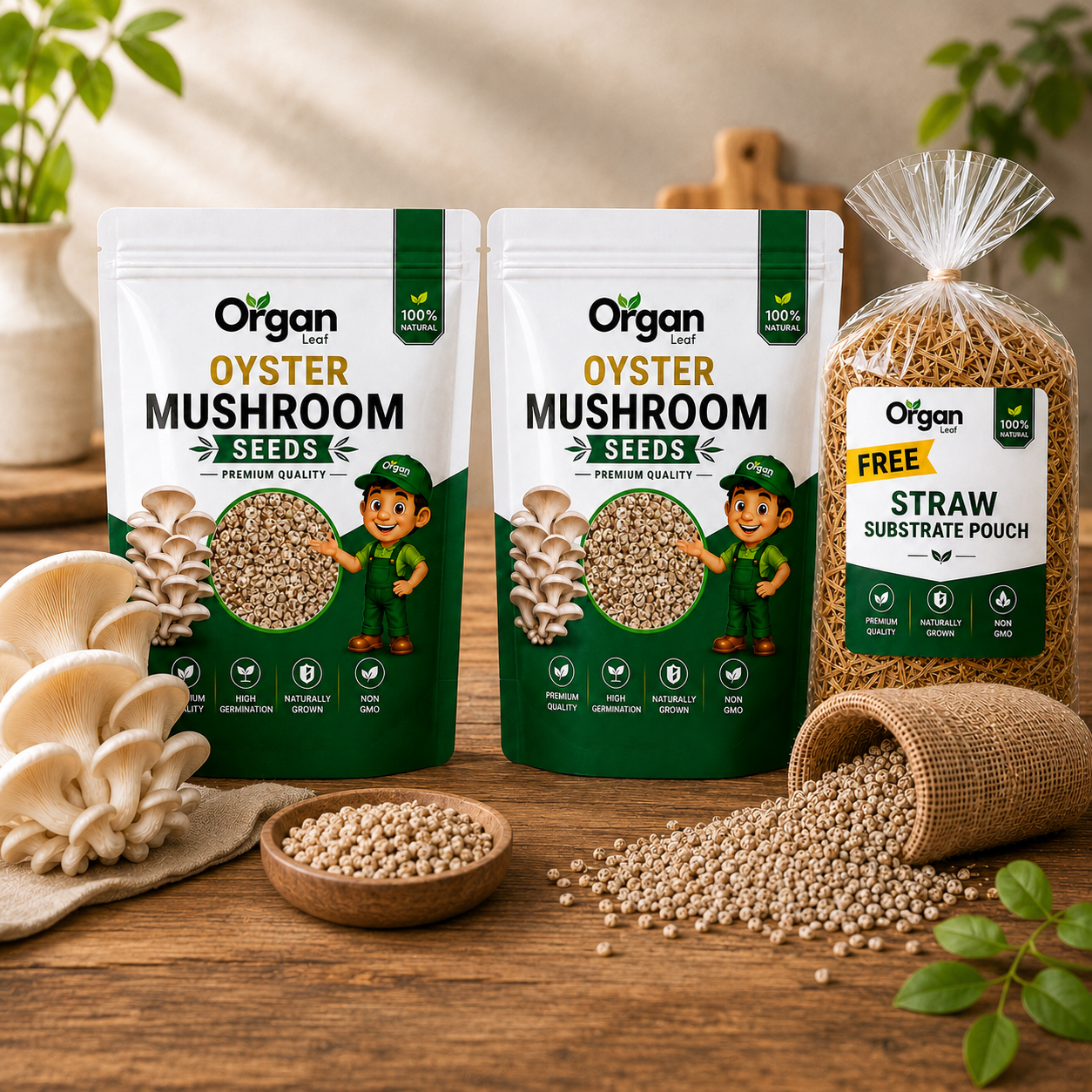Oyster Mushroom Seeds