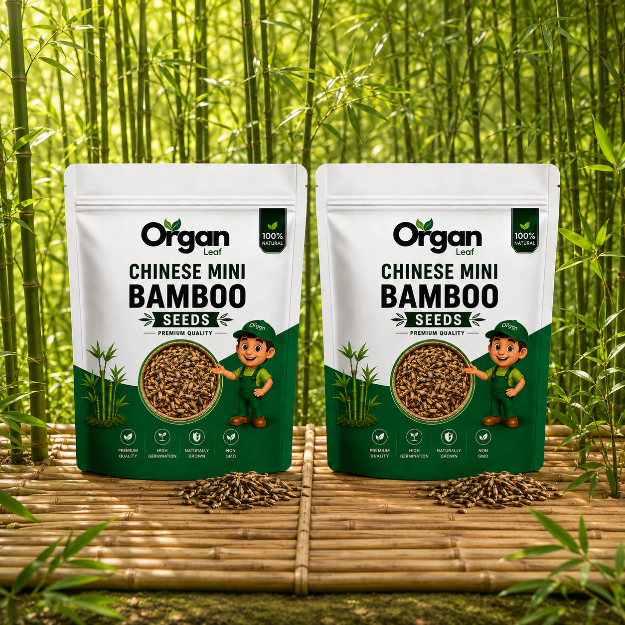 Chinese Mini Bamboo Seeds