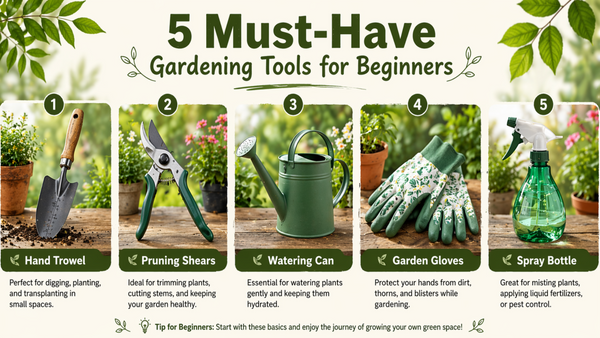 5 Must-Have Gardening Tools for Beginners