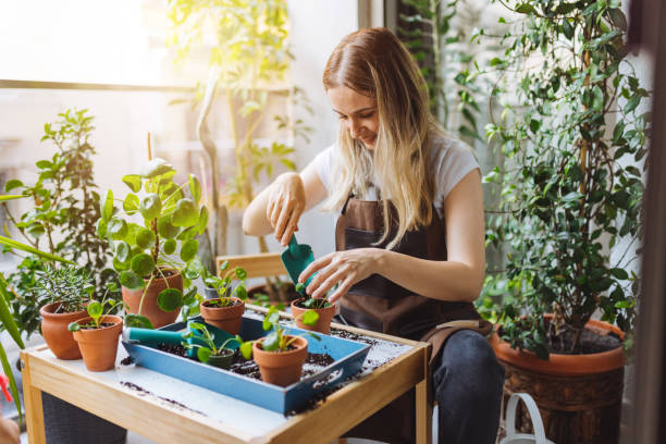 Garden & Farming