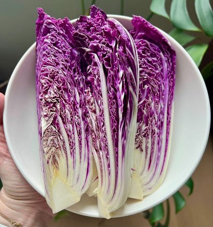 🥬Purple Napa Cabbage Seeds