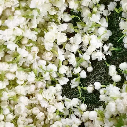 🌼 Night-Blooming Jasmine Flower Seeds