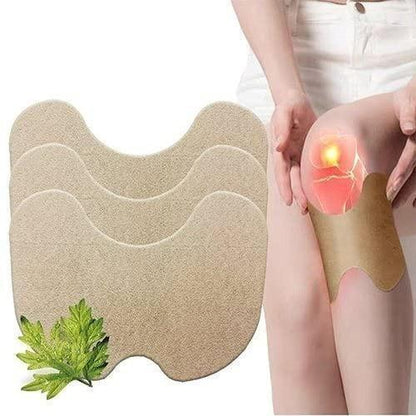 Ayurvedic Herbal Knee Pain Relief Patch(Pack of 10)