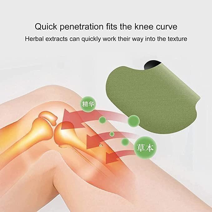 Ayurvedic Herbal Knee Pain Relief Patch(Pack of 10)