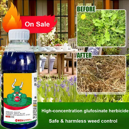 High Concentration Glufosinate Herbicide (Buy 1 Get 1 Free)