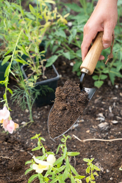3-in-1 Garden Tool Set
