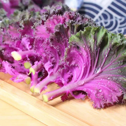 🥗Rare Purple Edible Kale Seeds