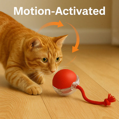 Smart Rolling Pet Ball