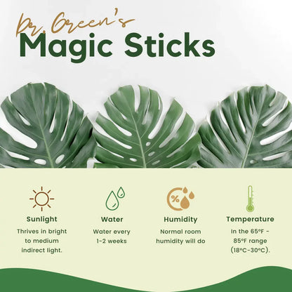 Plant Grow Fertilizer Sticks (Buy 1 Get 1 Free)