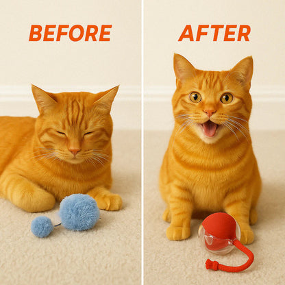 Smart Rolling Pet Ball