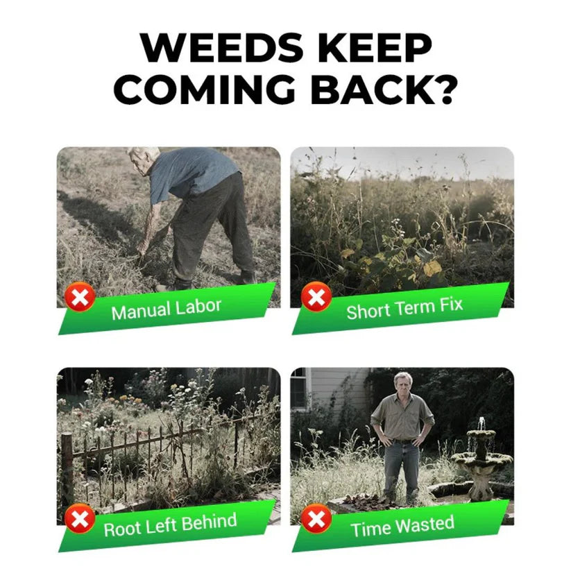 Glufosinate Herbicide (Buy 1 Get 3 Free)