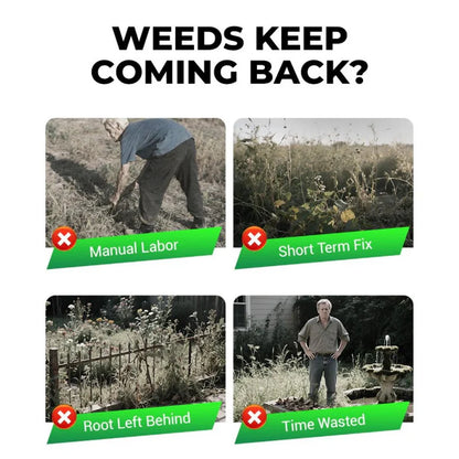 Glufosinate Herbicide (Buy 1 Get 3 Free)