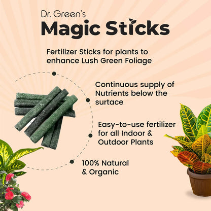 Plant Grow Fertilizer Sticks (Buy 1 Get 1 Free)