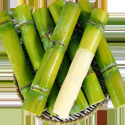 Green-Skinned Mini Sugarcane Seeds