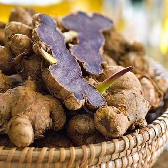 Black Ginger  Bulbs