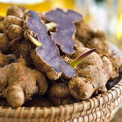 Black Ginger  Bulbs