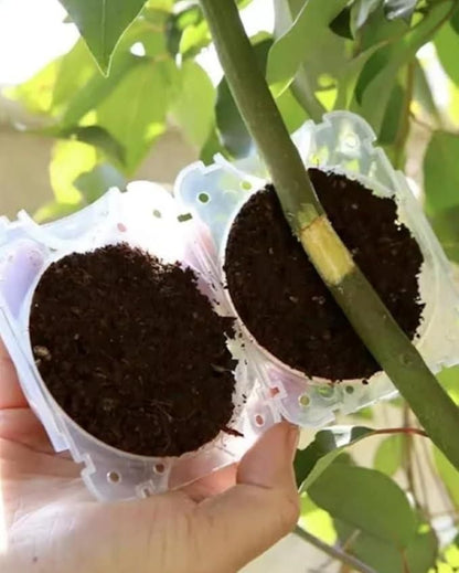 Reusable Plant Propagation Balls (Pack of 5)