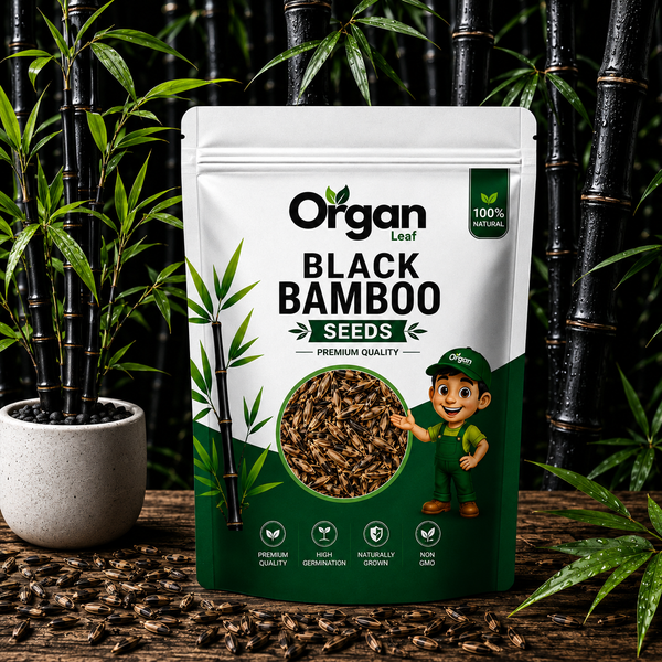 Black Bamboo Seeds