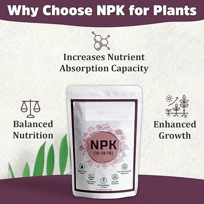 NPK Fertilizer For Plants 350gm