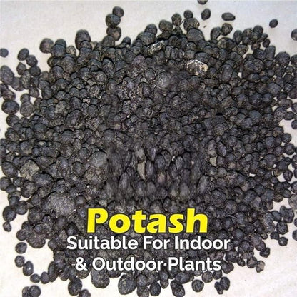Organic Bio Potash Fertilizer🌱