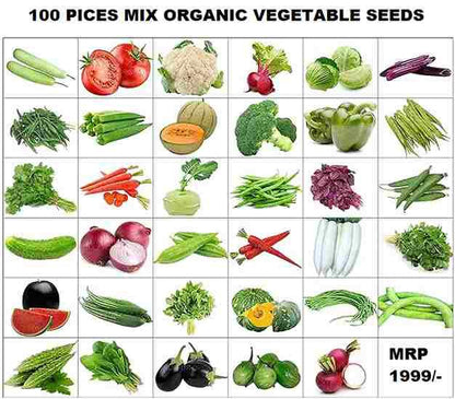 Organic Vegetable Seeds Mix (500+Seeds With Grow Bag🪴)