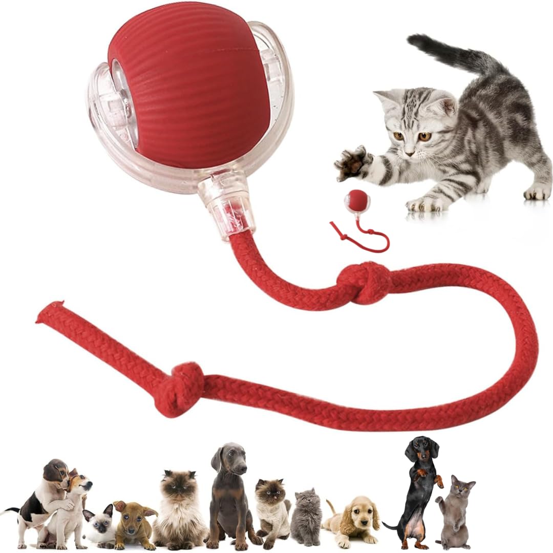 Smart Rolling Pet Ball