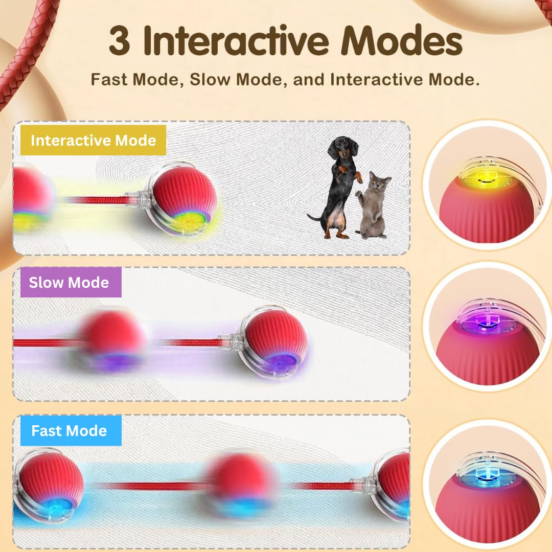 Smart Rolling Pet Ball