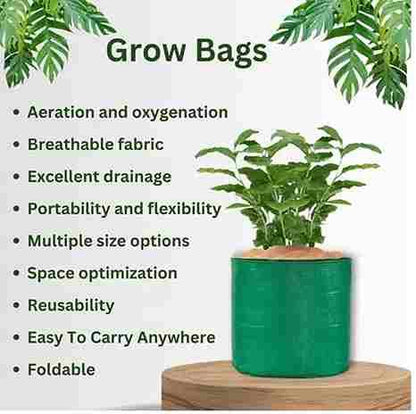 Organic Vegetable Seeds Mix (500+Seeds With Grow Bag🪴)