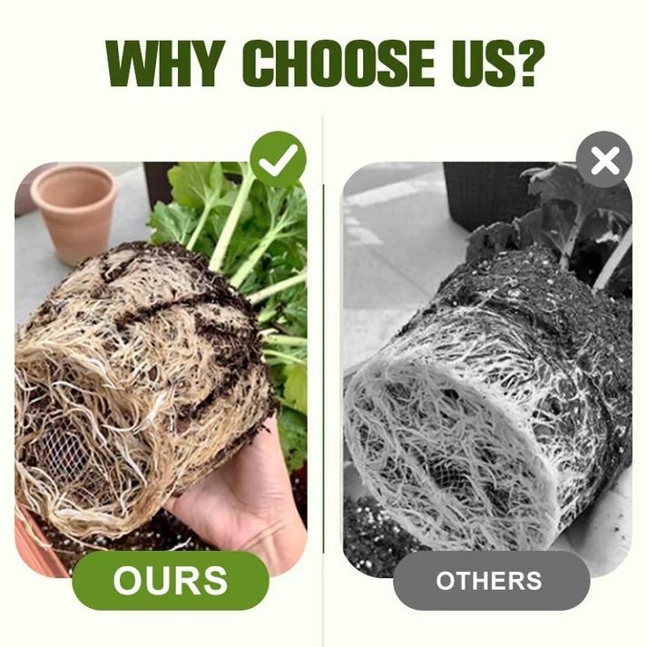 Soluble Disease Control Fertilizer (Buy 1 Get 1 Free)