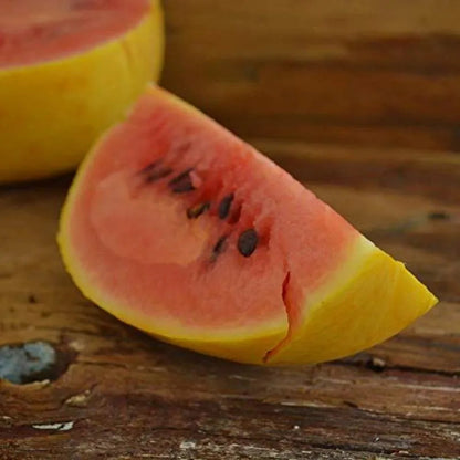 Golden Red Watermelon Seed