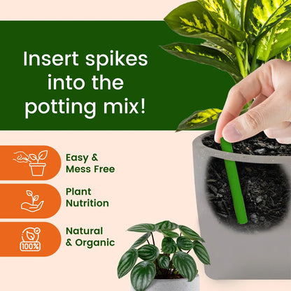 Plant Grow Fertilizer Sticks (Buy 1 Get 1 Free)