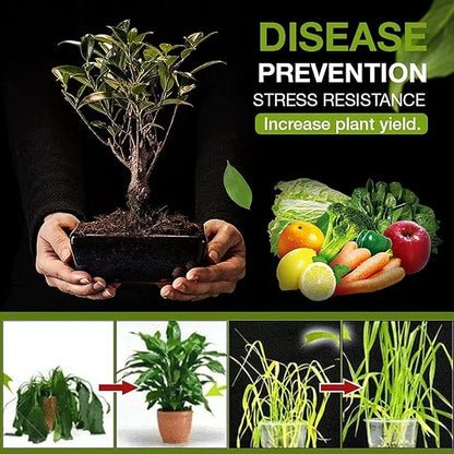 Premium Soil Activators(Buy 1 Get 1 Free)