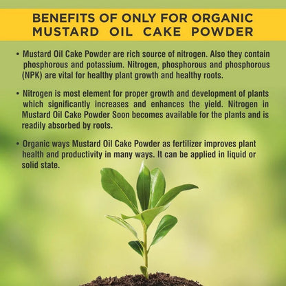 Mustard Cake Powder Fertilizer