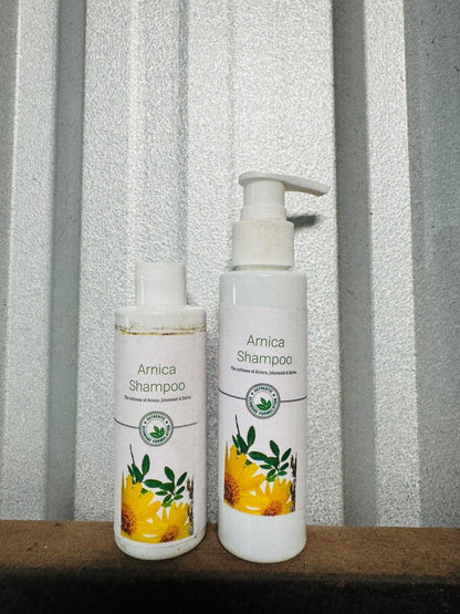 BT Boericke & Tafel B&T Arnica Shampoo (Pack of 2)