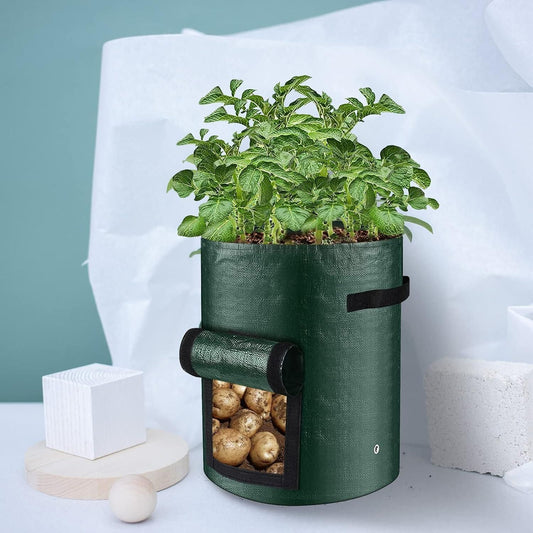 Planting Grow Bags