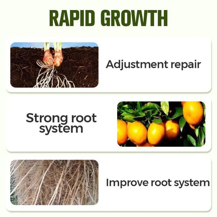 Soluble Disease Control Fertilizer (Buy 1 Get 1 Free)