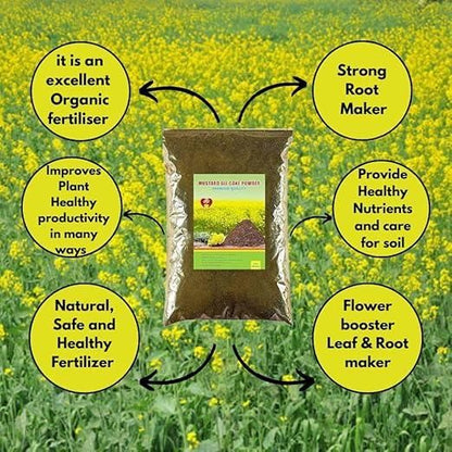Mustard Cake Powder Fertilizer