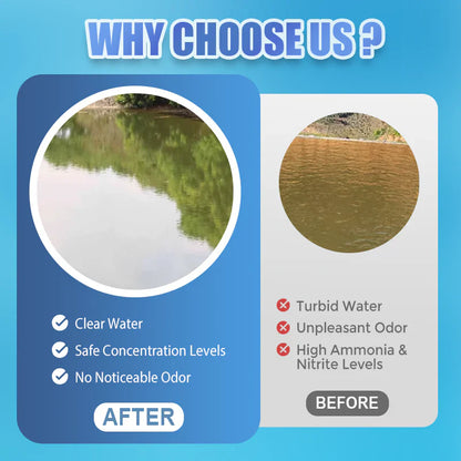 Premium Pond Care Powder💧 | Water Clarifier & Algae Control🐟