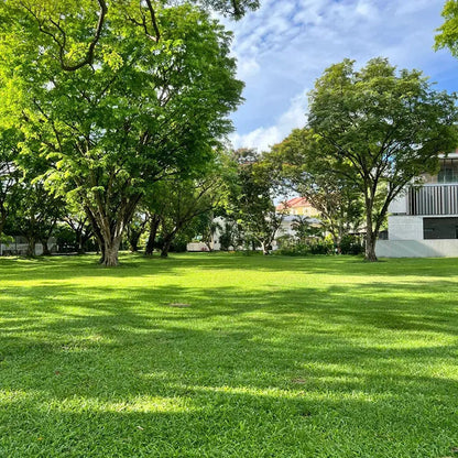 All Seasons Evergreen Grass Seeds