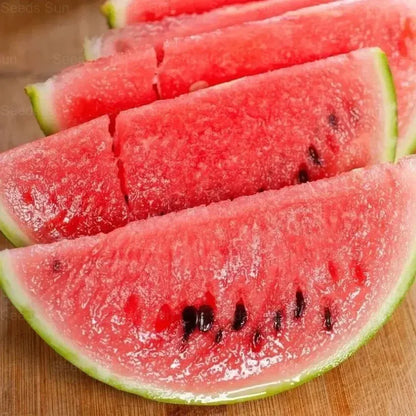 Red Jade Watermelon Seeds