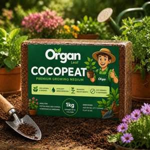 Cocopeat Block