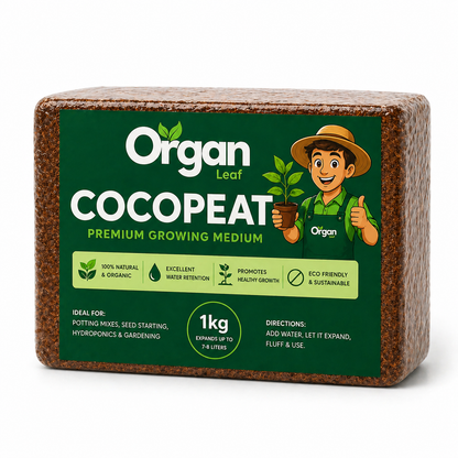 Cocopeat Block