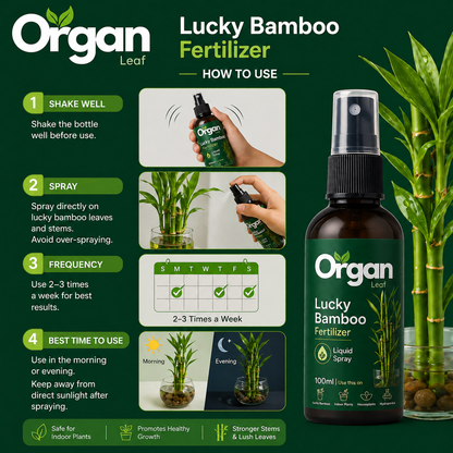 Lucky Bamboo Fertilizer