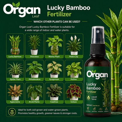 Lucky Bamboo Fertilizer