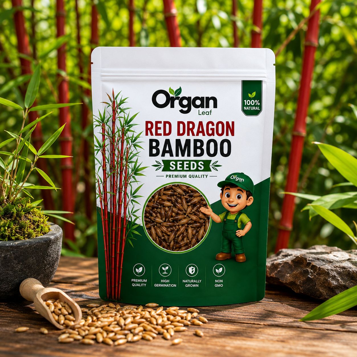 Red Dragon  Bamboo